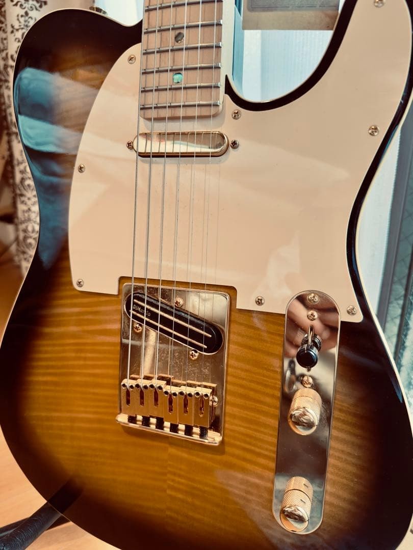 Fender Japan Richie Kotzen Telecaster
