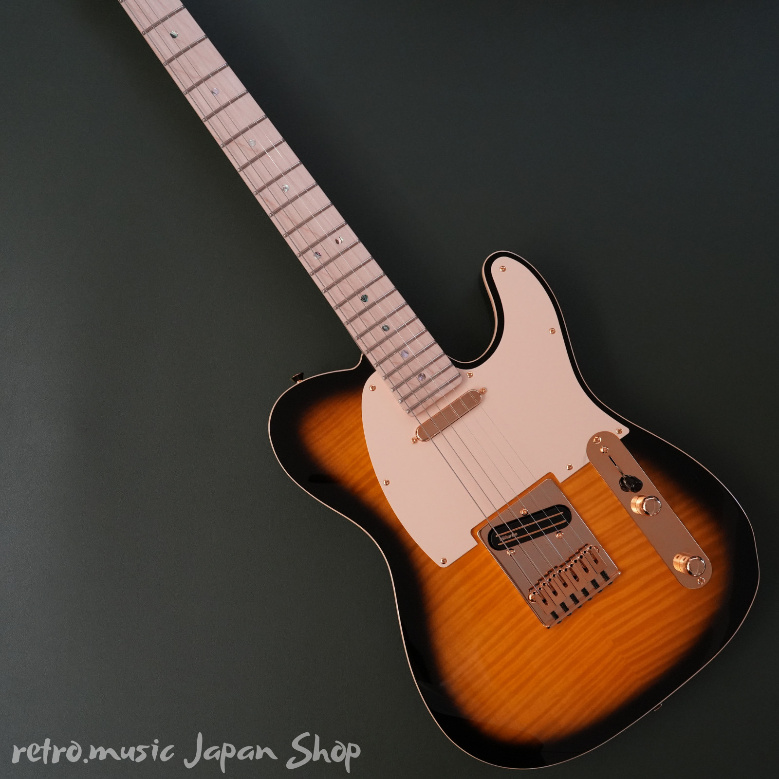 Fender Japan Exclusive Richie Kotzen Tele Brown Sun with gig bag