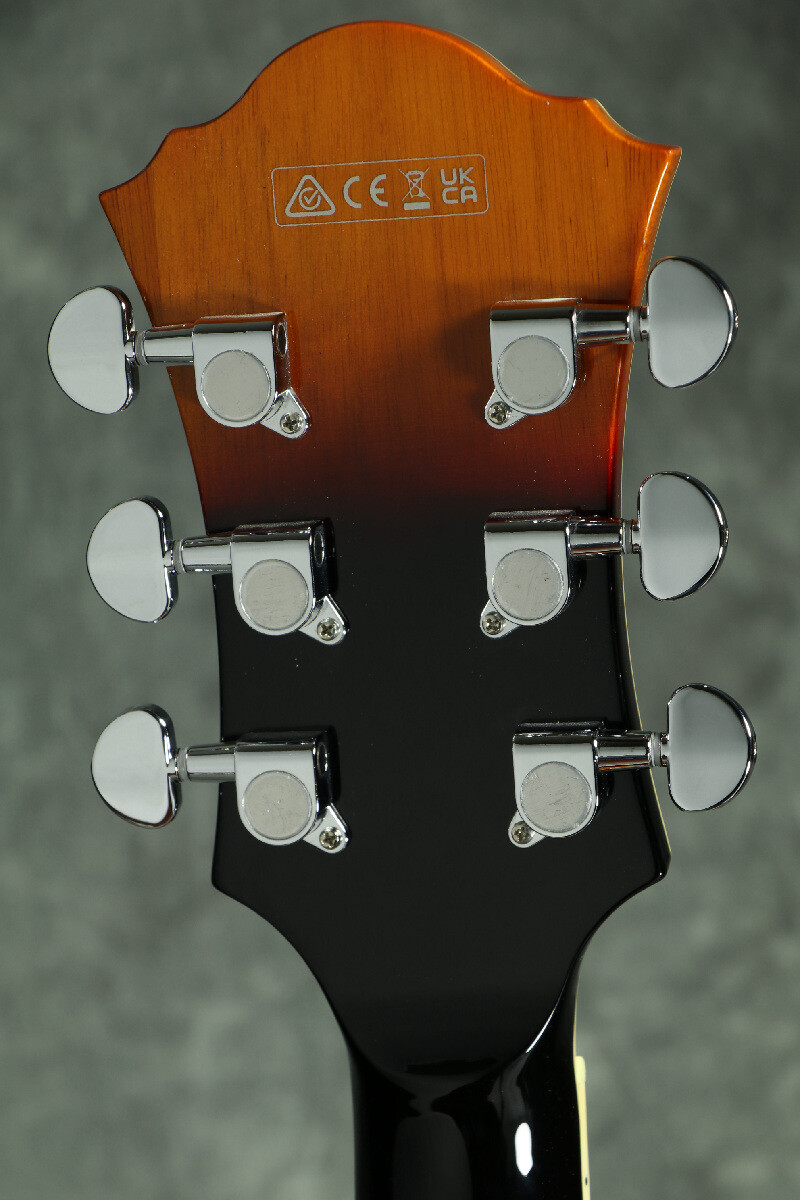 Ibanez AF75-BS Brown Sunburst with gig bag