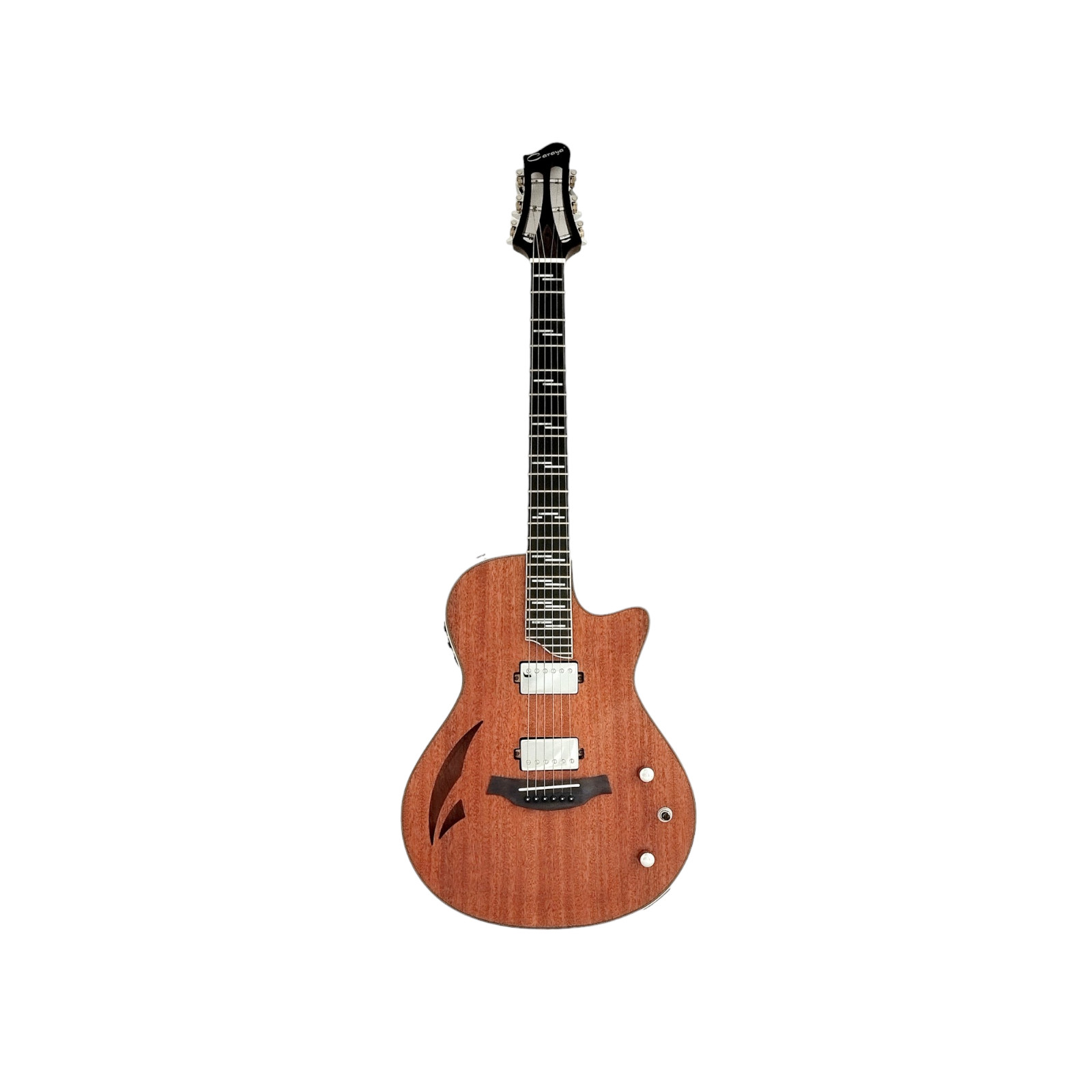 The Swiss Army Knife of Hybird Electric-Acoustic Guitars MULTISPECIALIST2