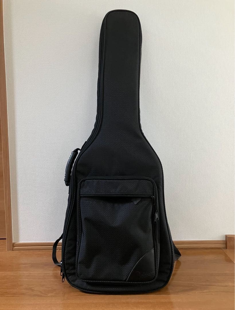 Electric Guitar Catalyst Jan Jakkerman Model with Soft Case