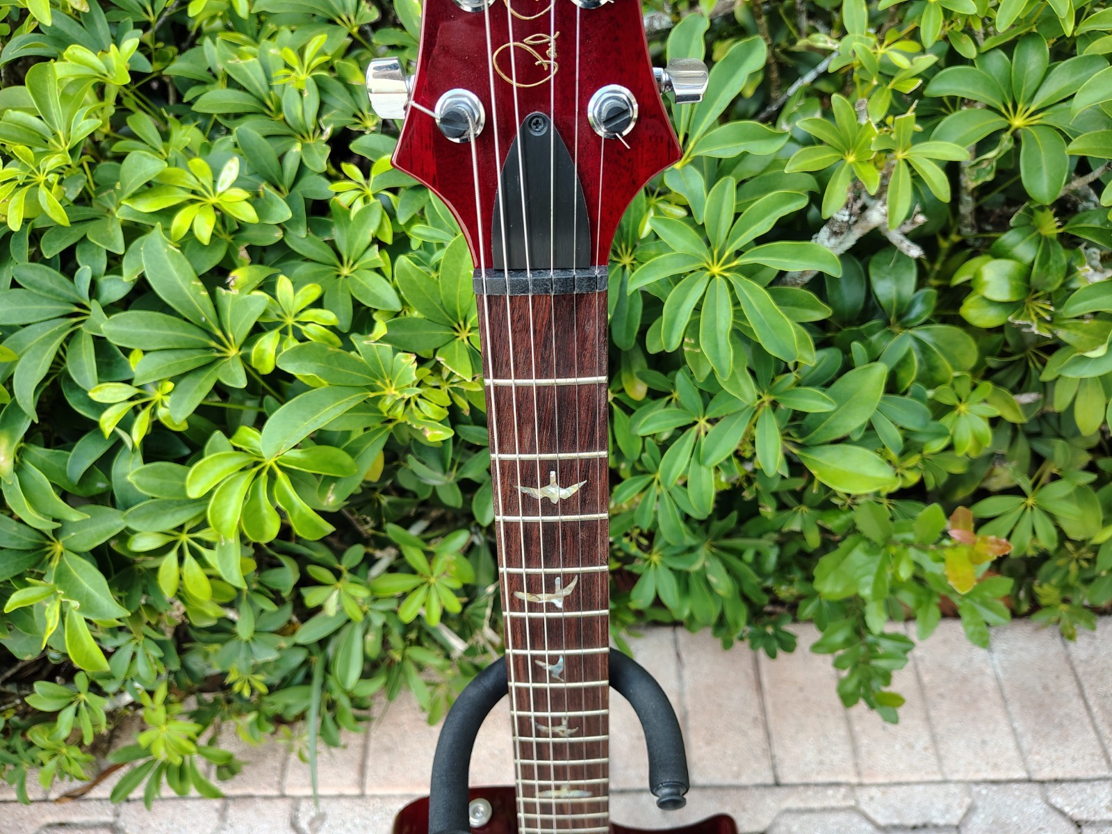 2003 PRS Singlecut Trem 10 Top Birds Black Cherry Pre-Lawsuit *UNPLAYED*