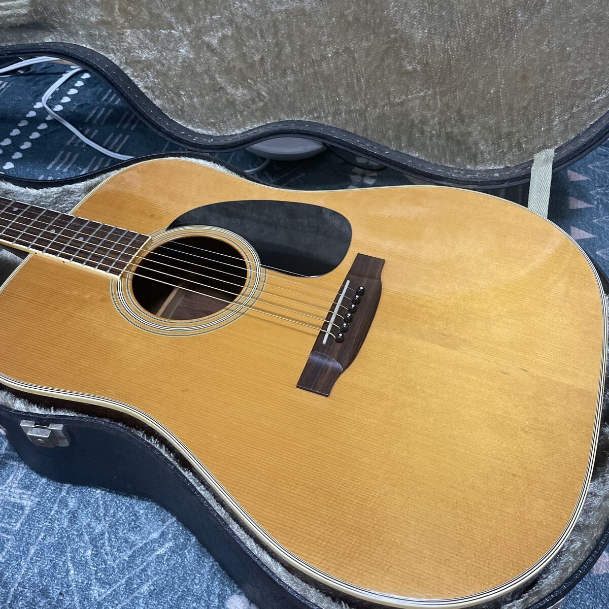 SALE! Jacaranda Takamine beautiful item! Roaring Elite TW-60 Rare Top veneer