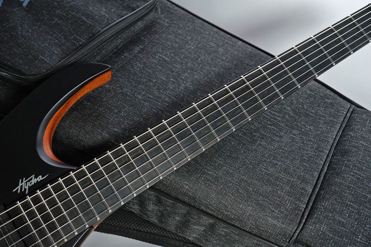 Mayones Hydra Elite Pro 6 Monolith Bass Black Matte Used