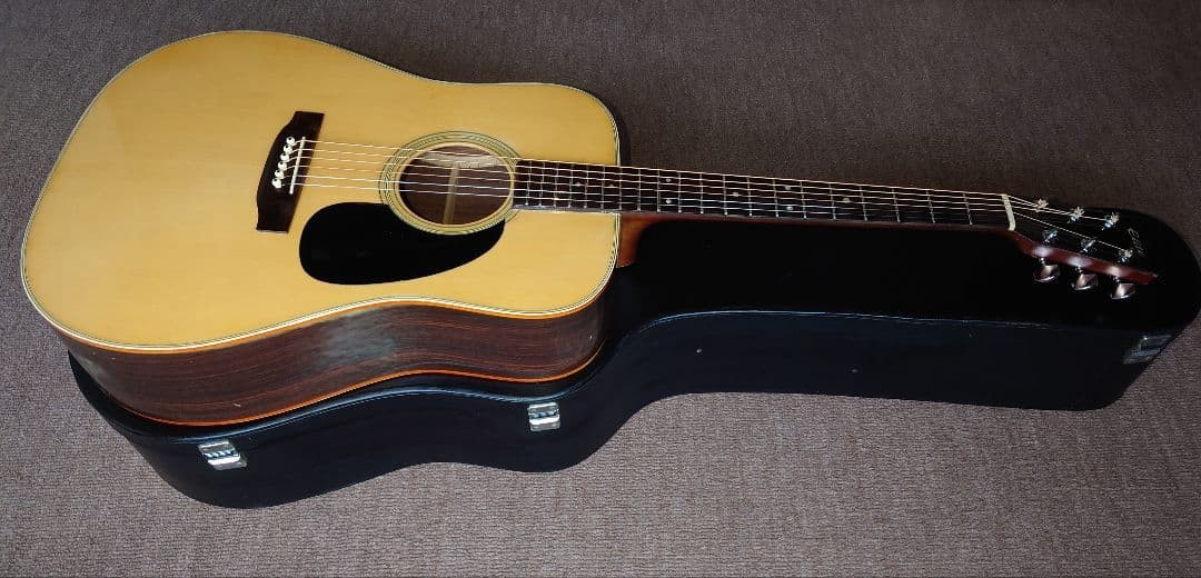 takamine Elite tw-30 acoustic guitar with hard case