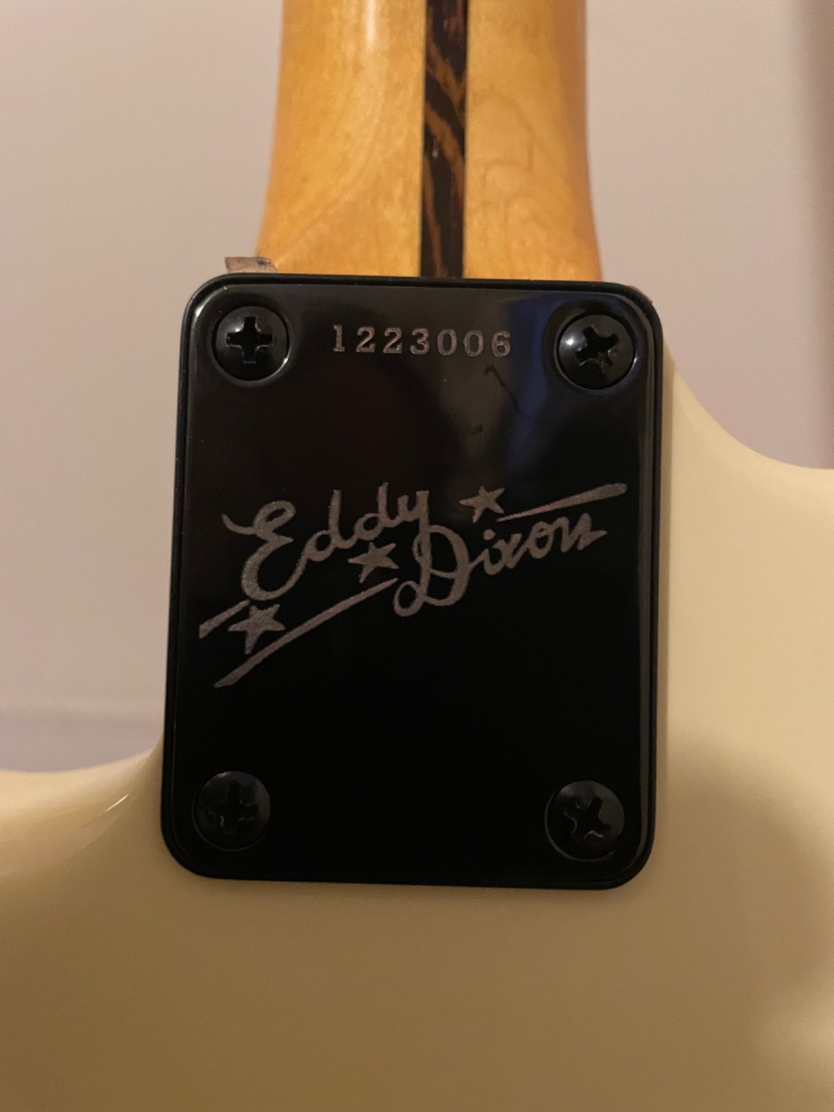 Eddy Dixon supeoior thinline Stratocaster