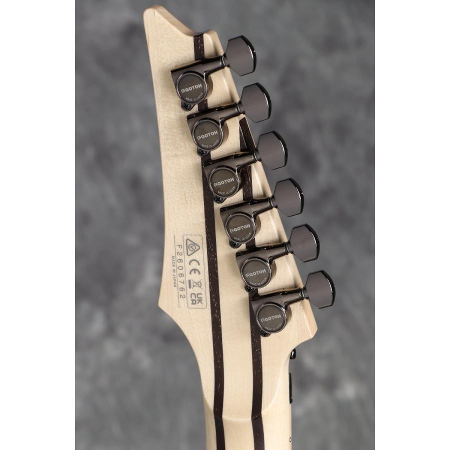 Ibanez / j.custom RG8570-BRE (Black Rutile) Electric Guitar Made in JAPAN