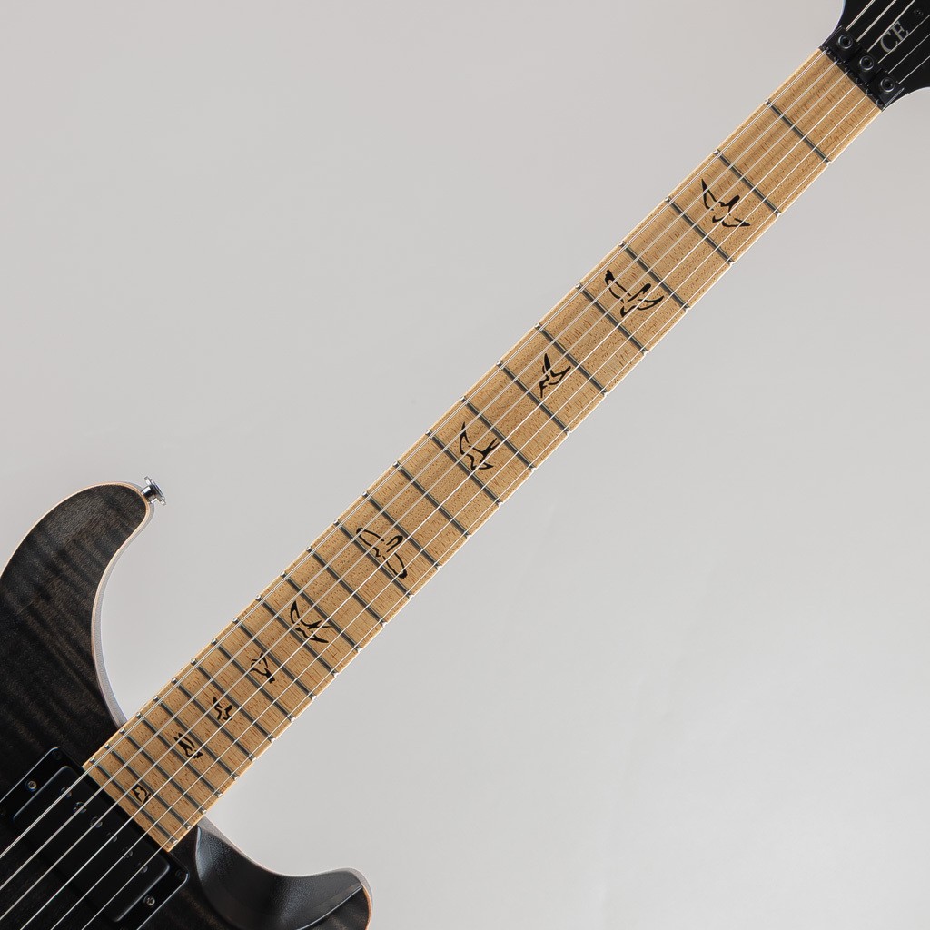Paul Reed Smith Prs Dustie Waring Dw Ce24 Floyd Grey Black *Rz419