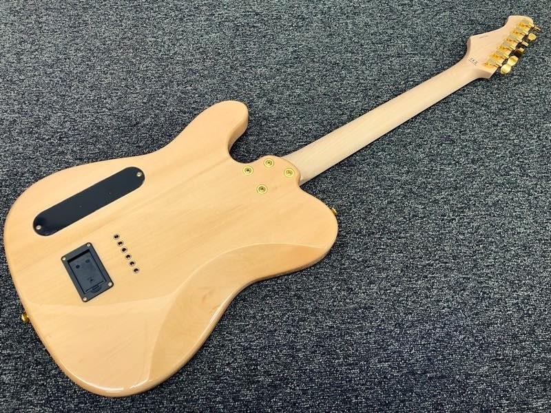 Aria Pro Ii Teg-780 Safe delivery from Japan