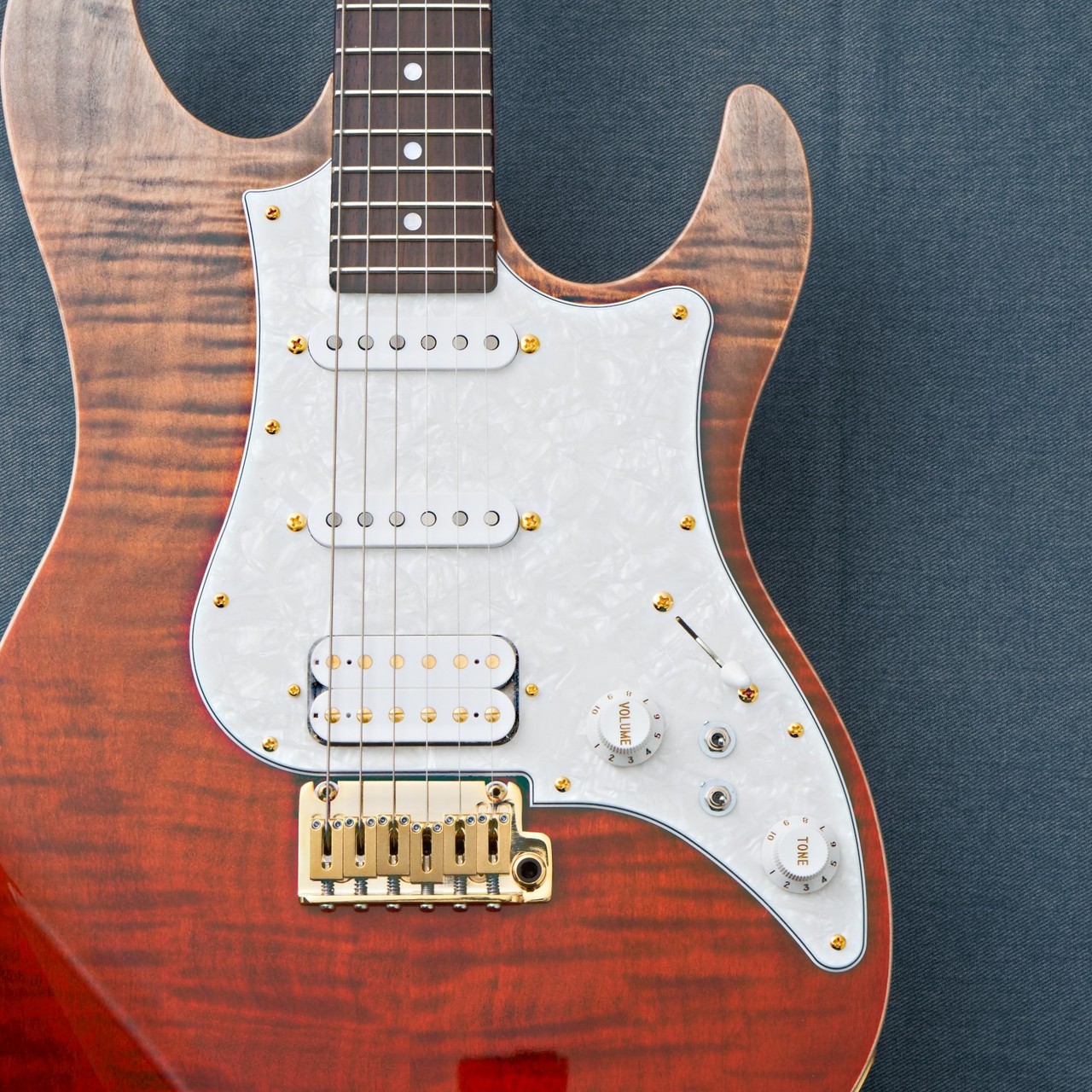 FUJIGEN(FGN) EOS2-FM-R -Ripe Kaki Gradation- RKG 3.75kg Made in Japan #GG1g1