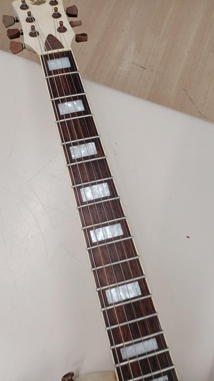 AXL GUITARS AL-820-WO Electric Guitar-01