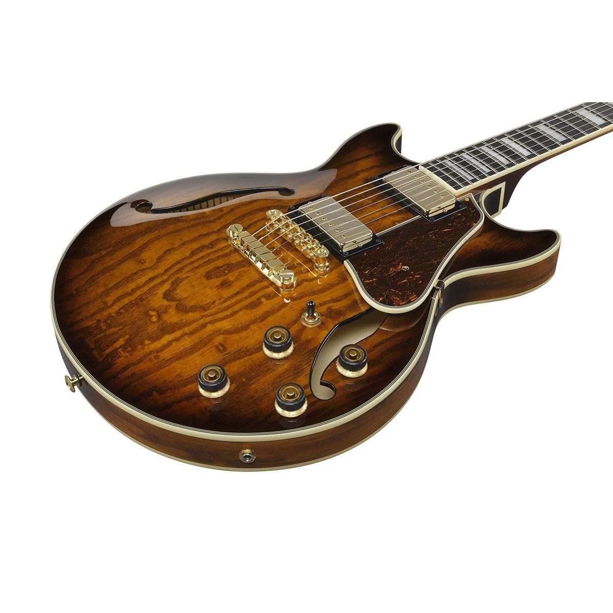 Ibanez Artcore Expressionist Series AM93QA Electric Guitar