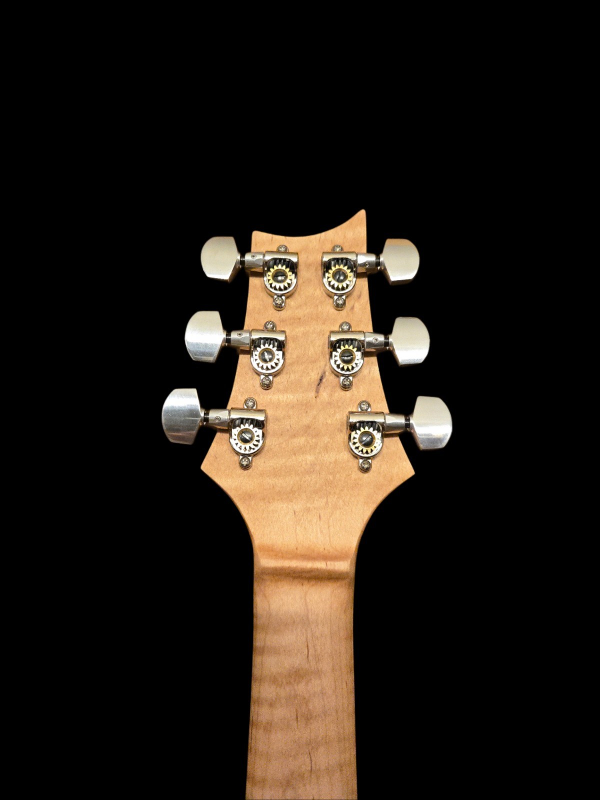 Wilder Guitars Kurly Kong – Handmade, A PRS Custom 24 Model