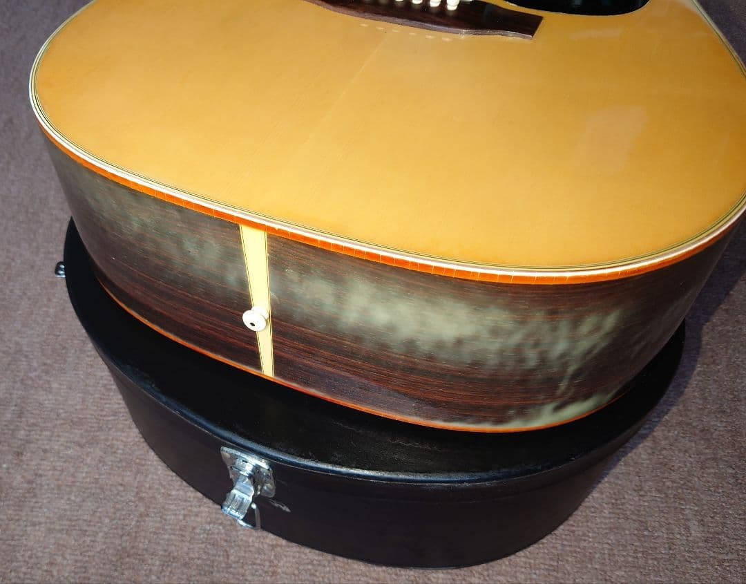 takamine Elite tw-30 acoustic guitar with hard case