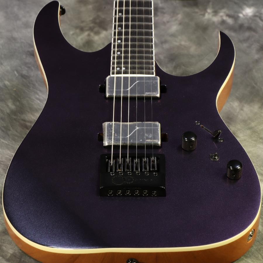 Ibanez Axe Design Lab RG Prestige Series RG5121ET-PRT Polar Lights Made in Japan