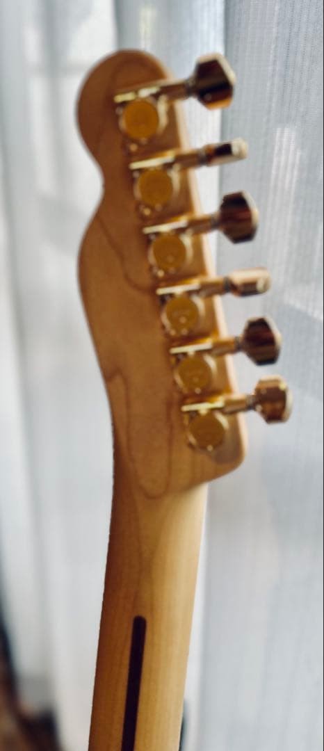 Fender Japan Richie Kotzen Telecaster