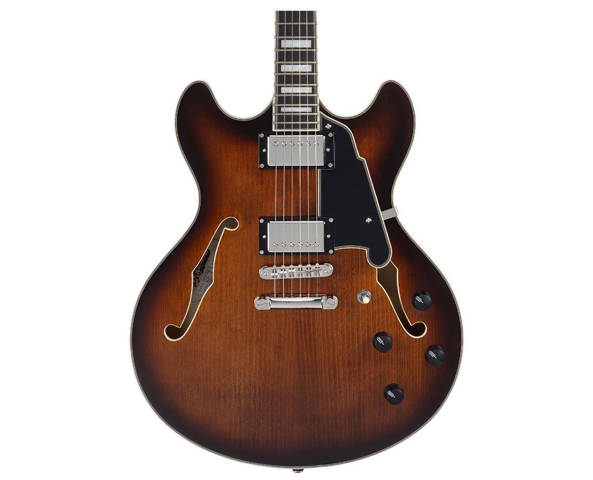 D’Angelico Guitars DAPDCBRBNS Premier DC Electric Guitar, Brown Burst w/ Gig Bag