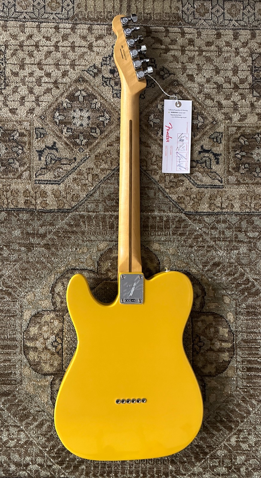 Fender Player II Modified Telecaster w/ Deluxe Gig Bag & Free Pro Setup