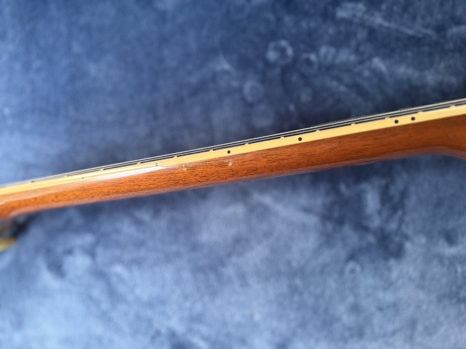 Gibson Les Paul Standard ‘50’s – Gold Top