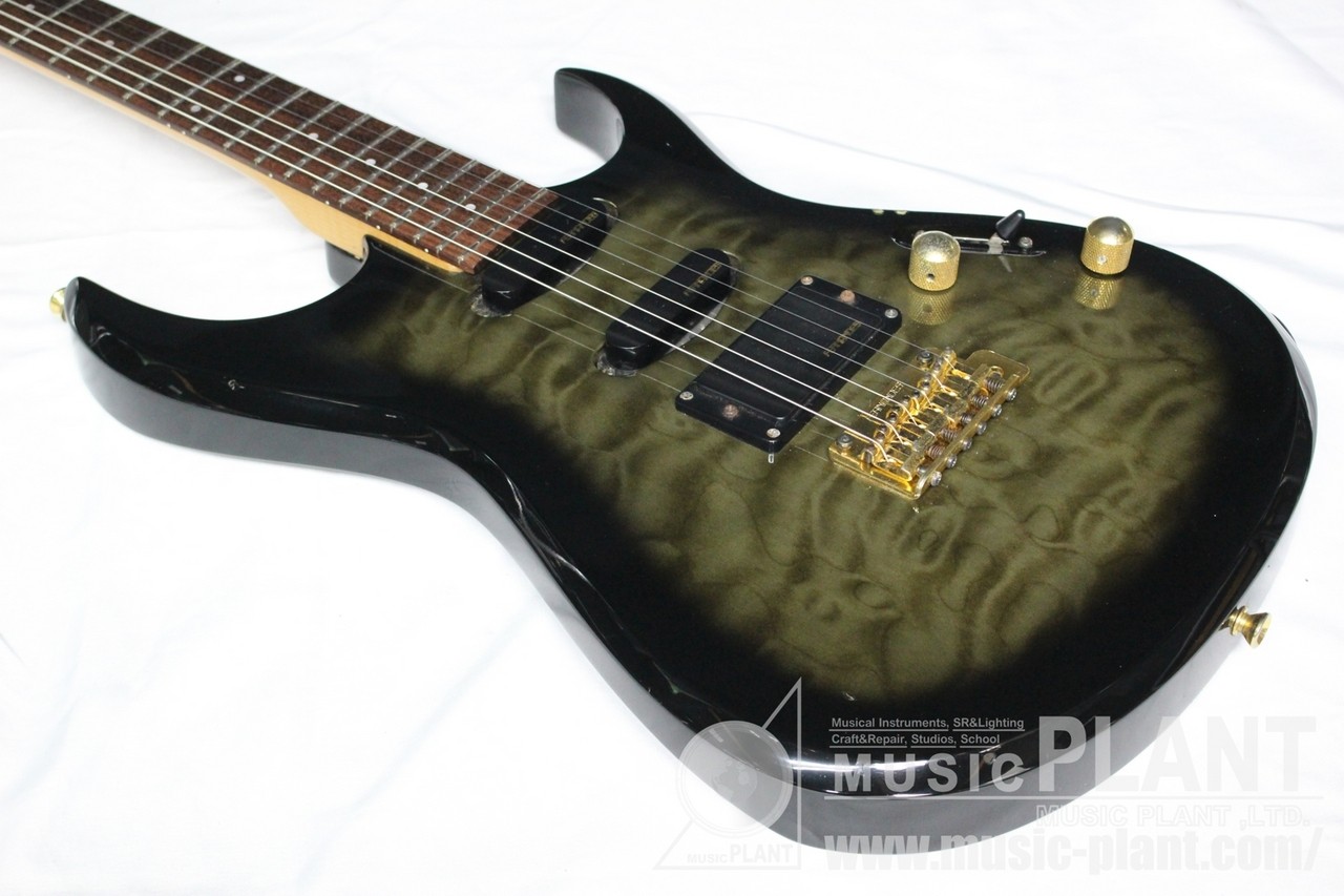 FERNANDES FGZ-400 SBS