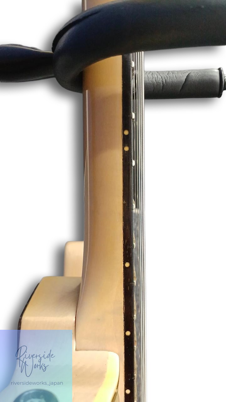 Valley Arts Electric Guitar M Series Professional Quality JP