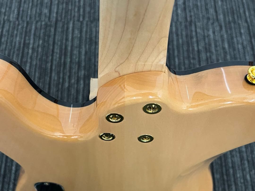 Aria Pro Ii Teg-780 Warranty With Genuine Gig Bag
