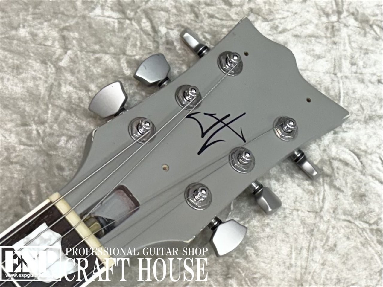 LTD Trucks Used Electric Guitar 2010