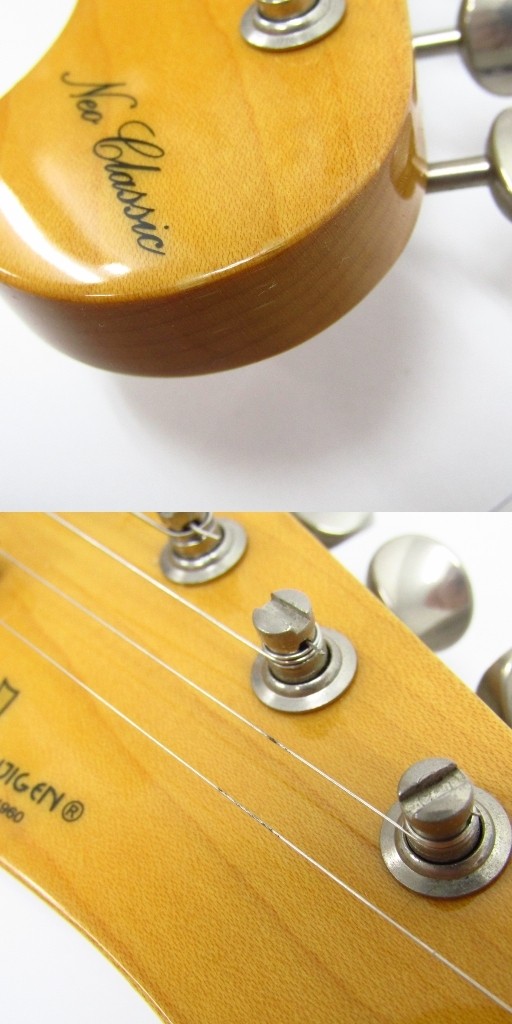 Fgn Fujigen Neo Classic Ncst-M10 Electric Guitar Arm With Genuine Soft Case G515