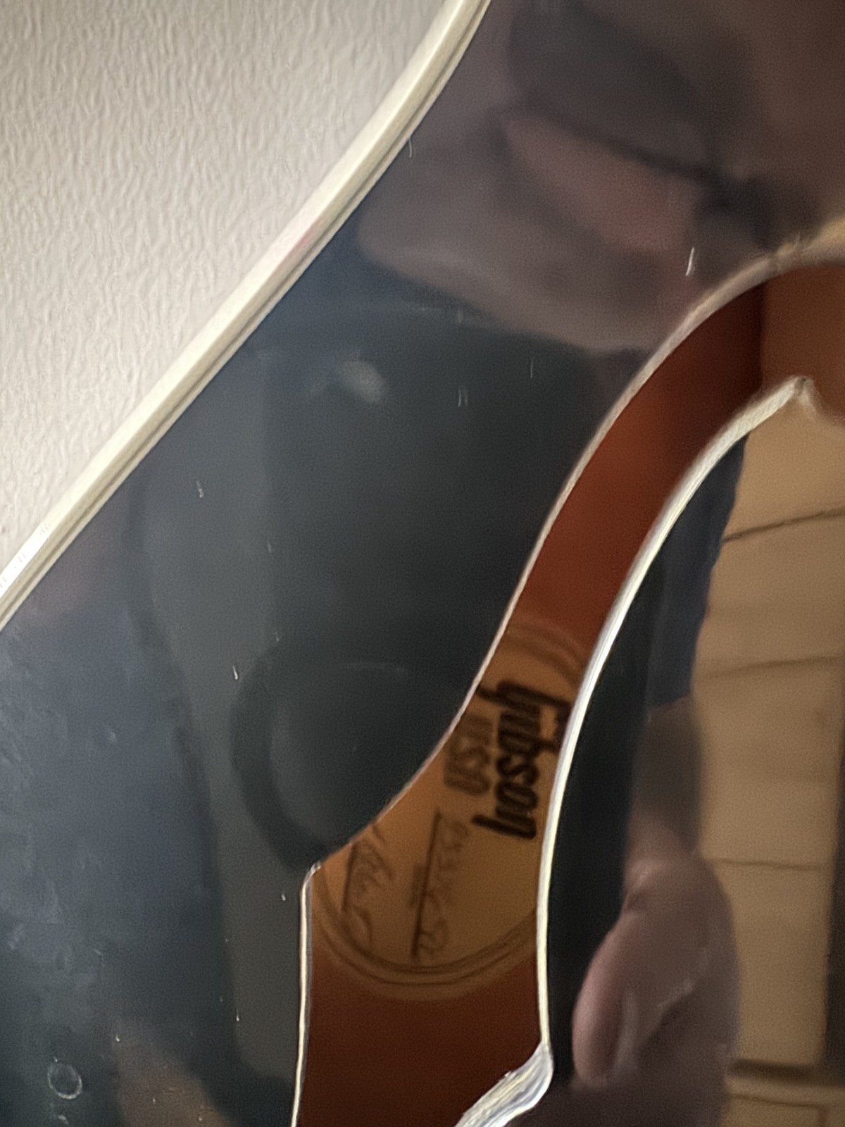 Gibson Les Paul Howard Roberts Fusion