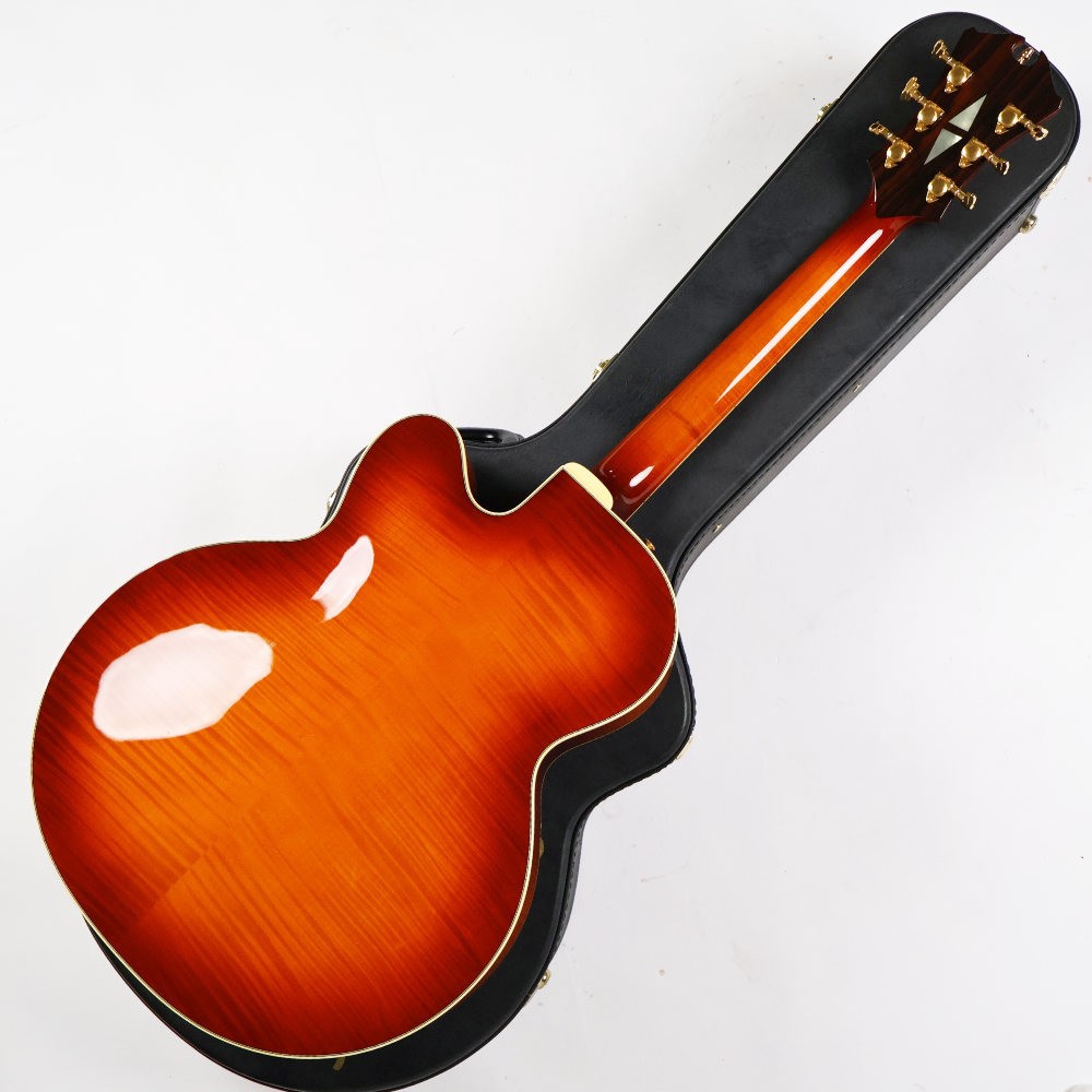 D’Aquisto Used D’Aquisto DQ-NYE New Yorker ALB 2014 model