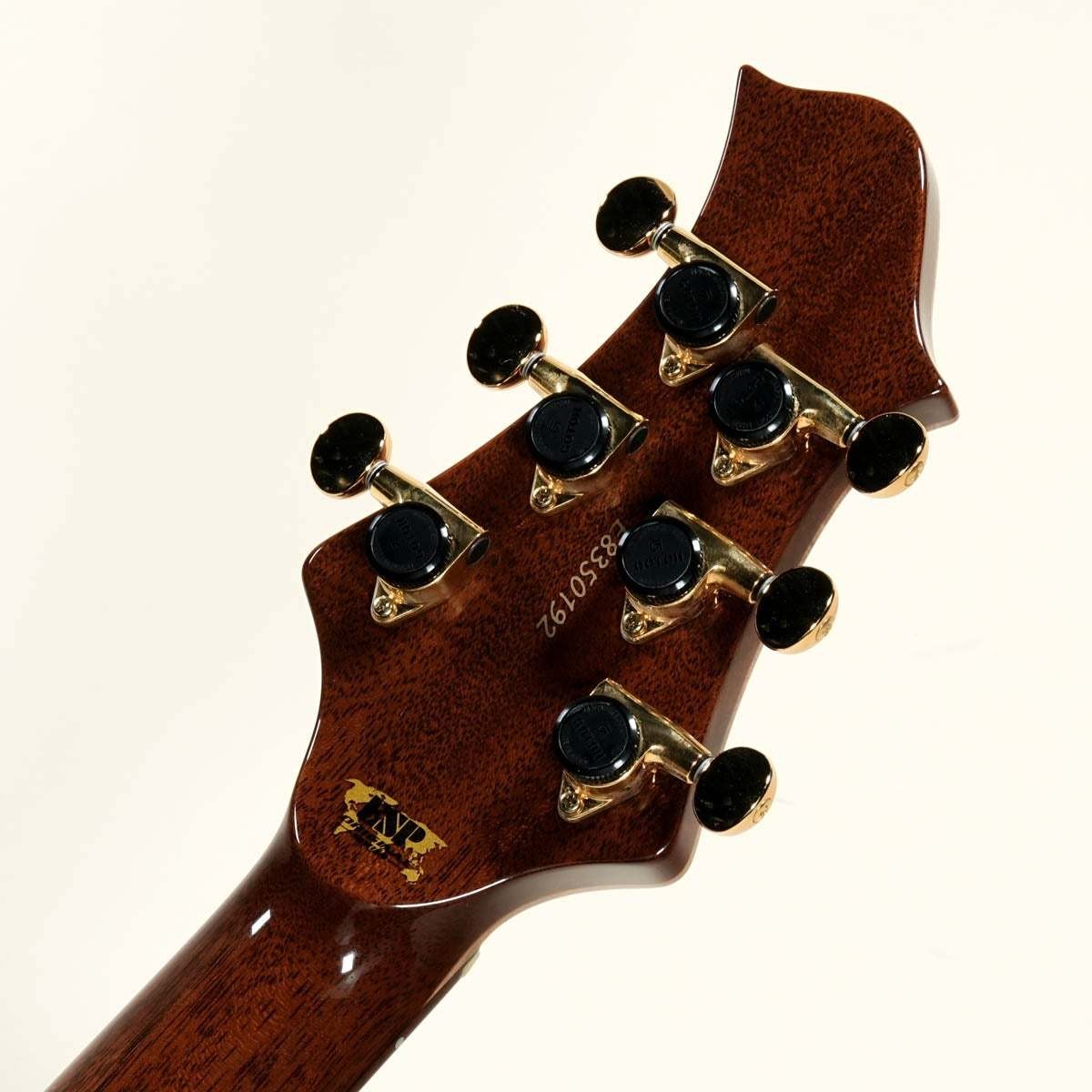 Esp Mystique-Ctm Burled Maple Reptile Blue Burst Safe delivery from Japan