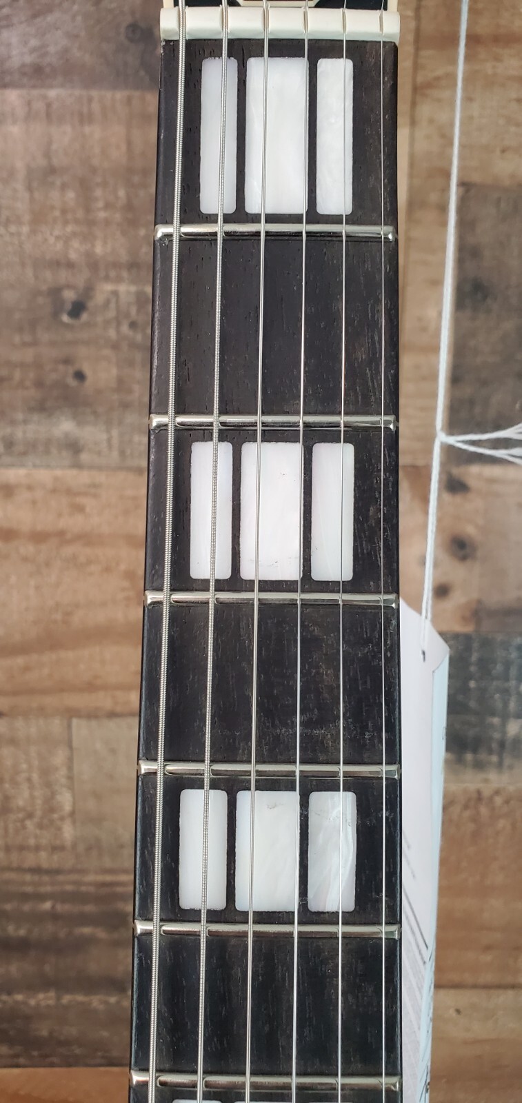 EVH SA-126 Special Semi Hollow SA126 Matte Army Drab 293