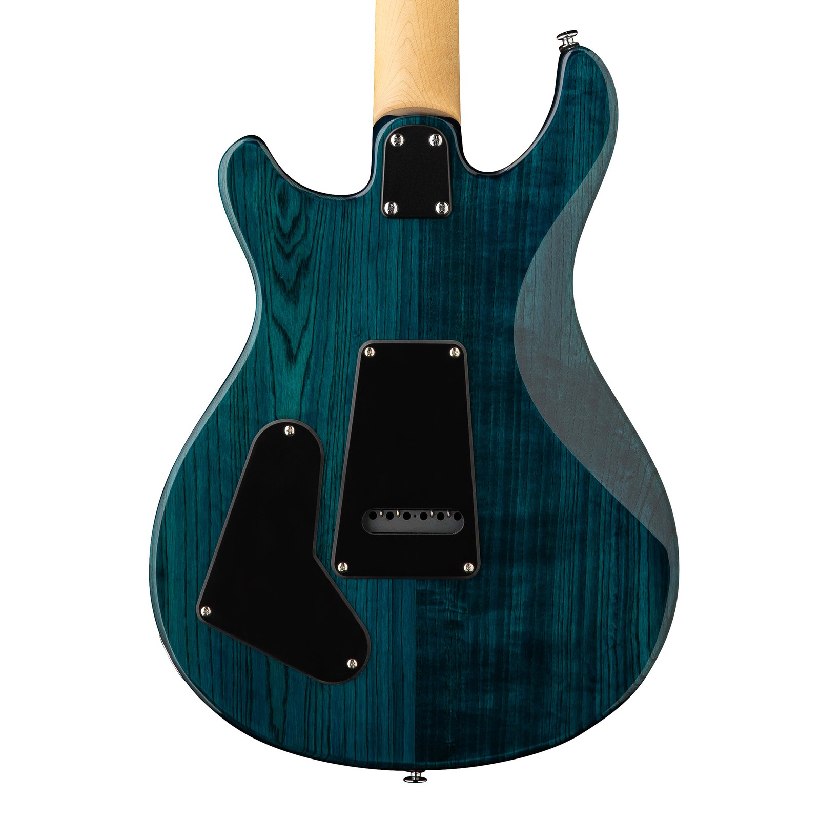 PRS SE Swamp Ash Special Electric Guitar – Iri Blue