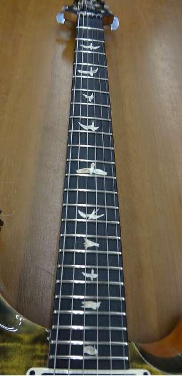 PAUL REED SMITH Electric Guitar FLOYD CUSTOM 24 10TOP OBSIDIAN