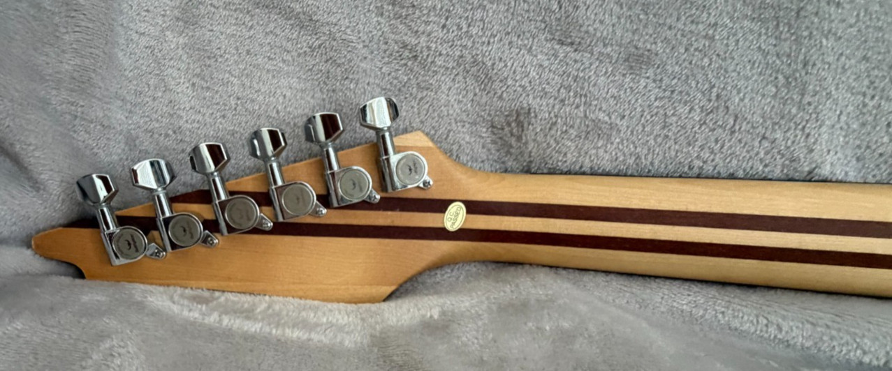 BullFighter- JACOBS MODS PRO-SETUP Neck thru electric guitar Beautiful/ Video