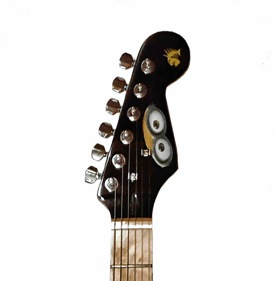 Fishbone Minio Full Size Guitar with Gig Bag