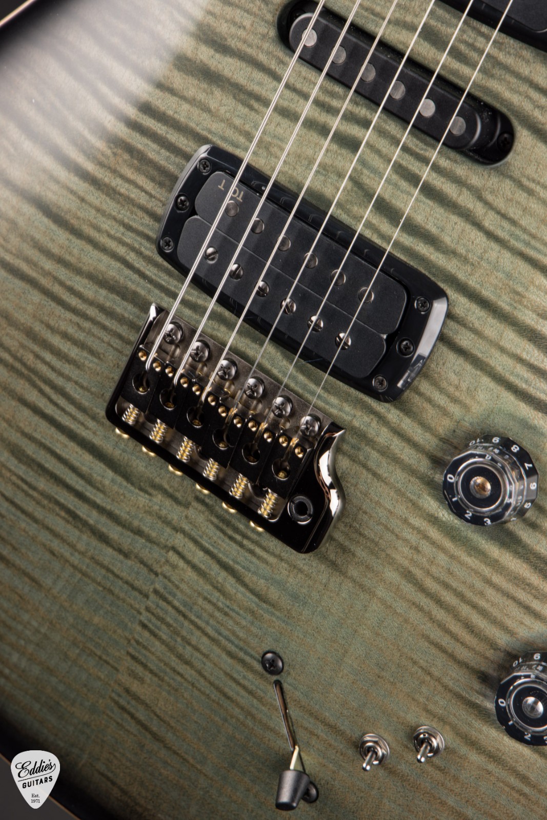 PRS Eddie’s Guitars Wood Library Modern Eagle V – Trampas Green