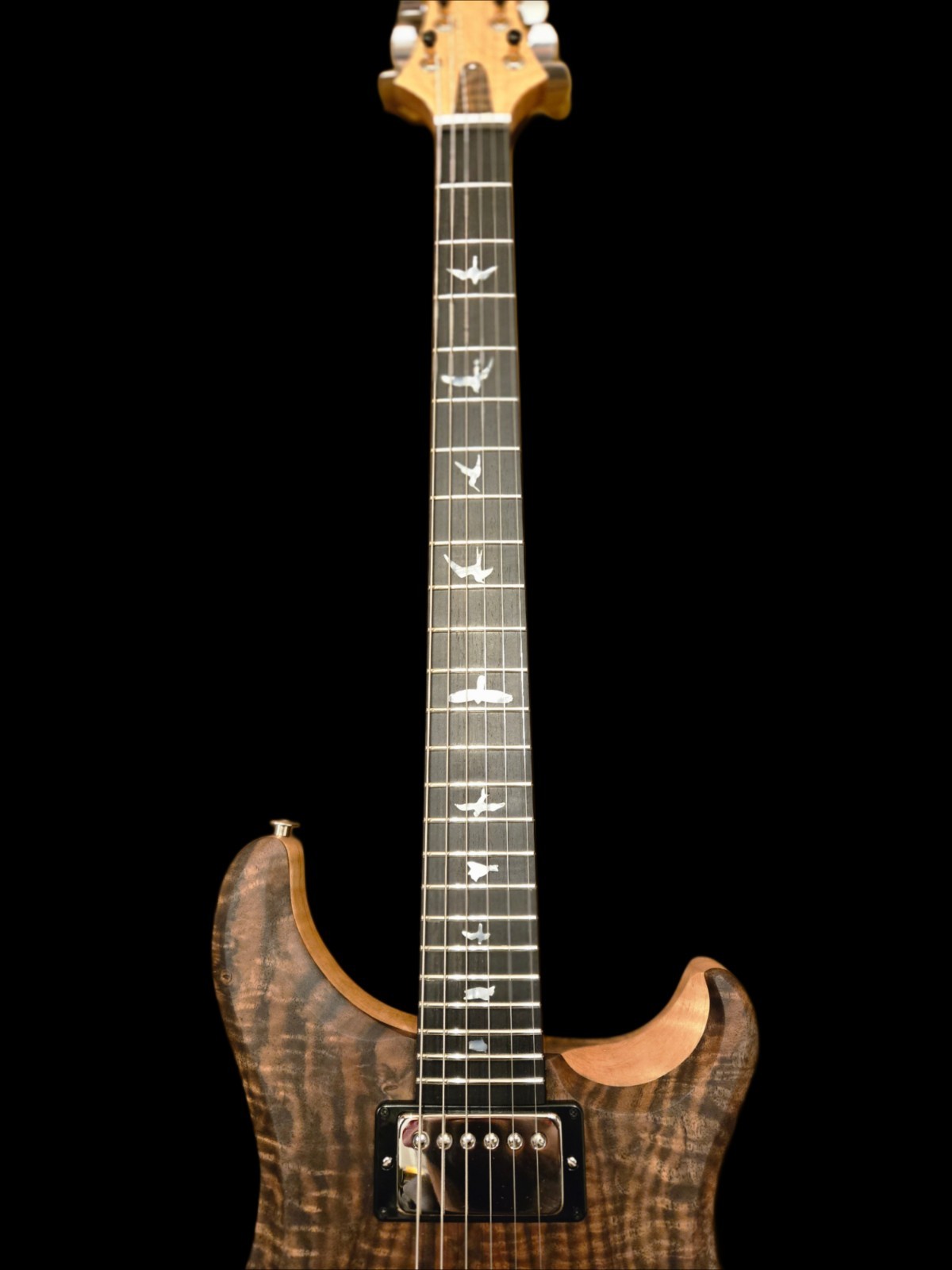 Wilder Guitars Kurly Kong – Handmade, A PRS Custom 24 Model