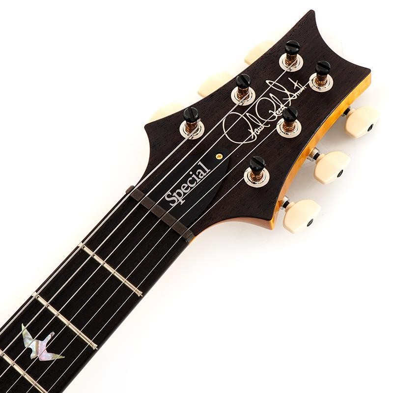 Paul Reed Smith(PRS) Wood Library Special Semi-Hollow (Honey Gold) SN.0402027