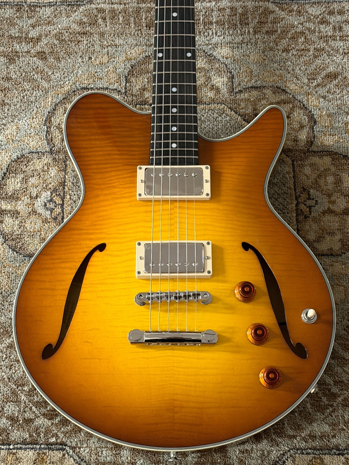 Eastman Romeo-California w/ Bare Knuckle Pickups Thinline w/ Case & Pro Setup!