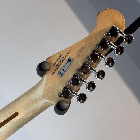 FUJIGEN FGN JST5R