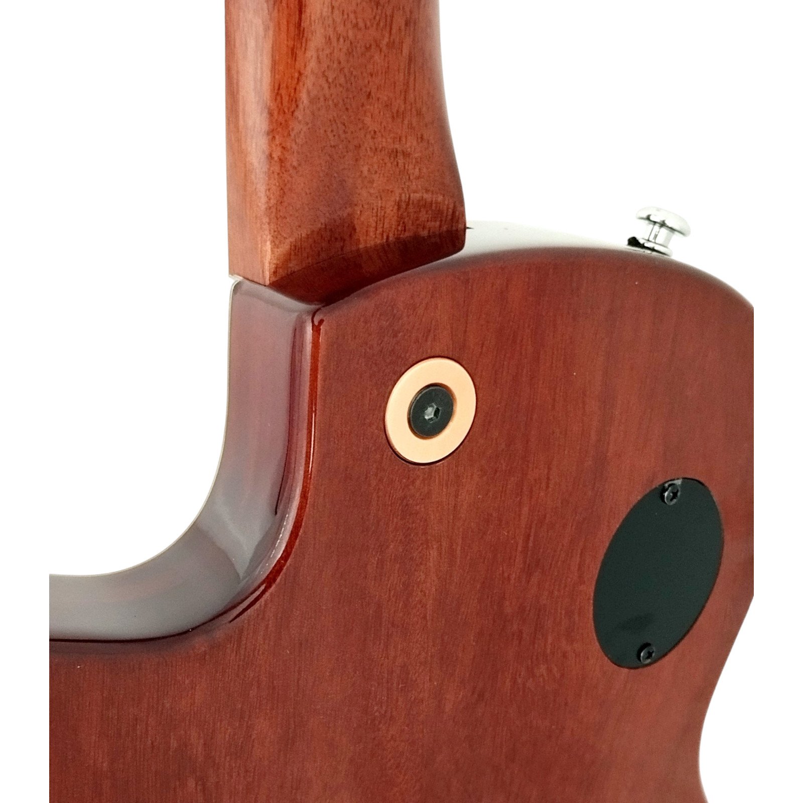 The Swiss Army Knife of Hybird Electric-Acoustic Guitars MULTISPECIALIST2