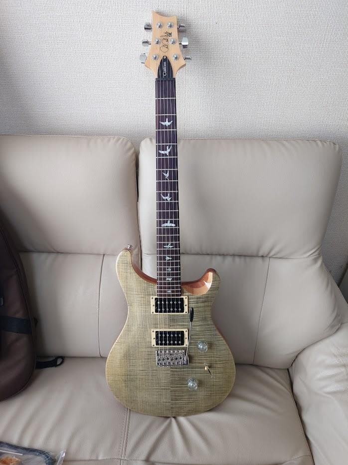 Made In Korea Gotoh Peg PRS SE Custom 24 Trampas Green Safe delivery from Japan