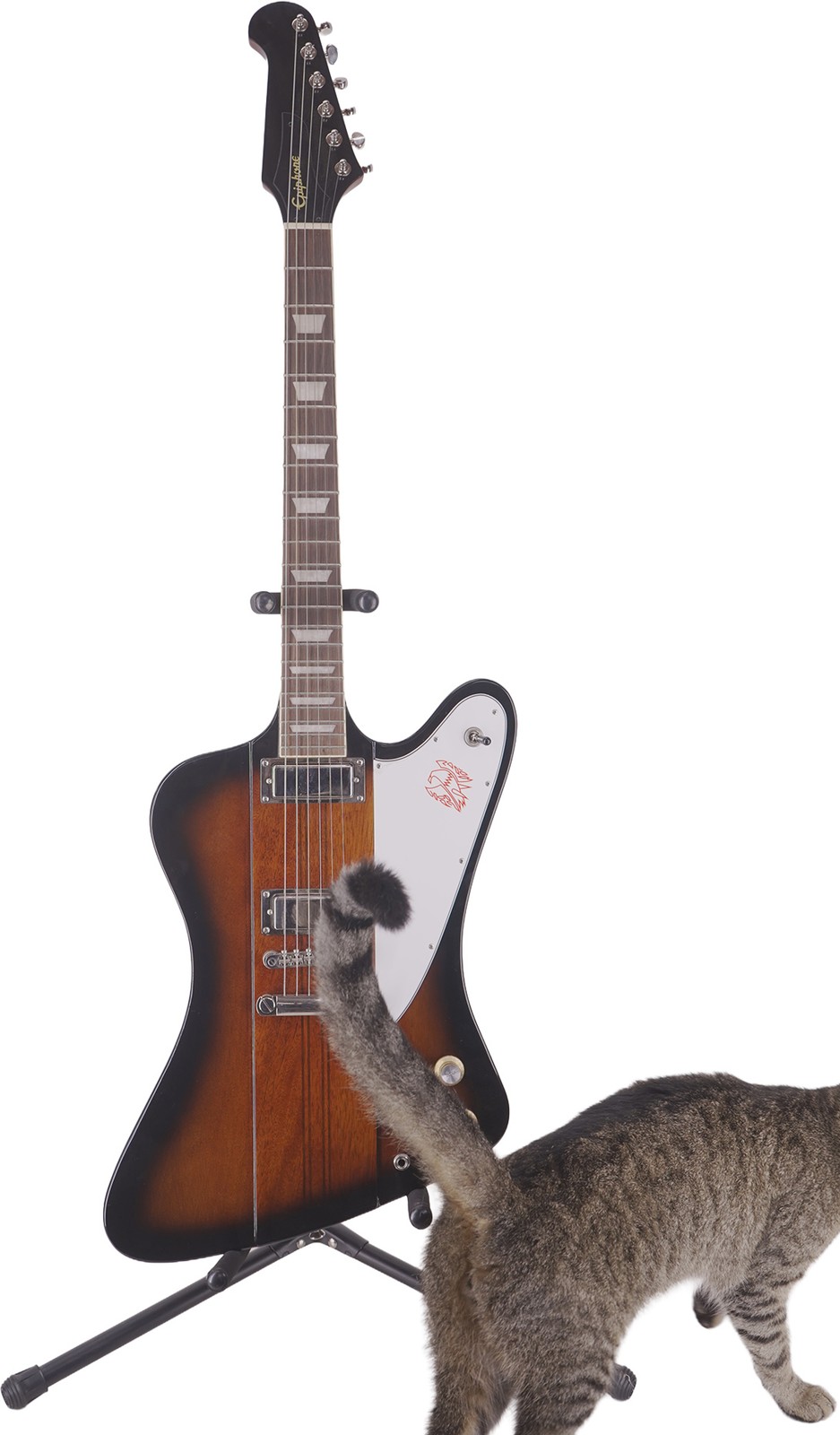 Epiphone Firebird Electric Guitar – Vintage Sunburst – CRACKED NECK