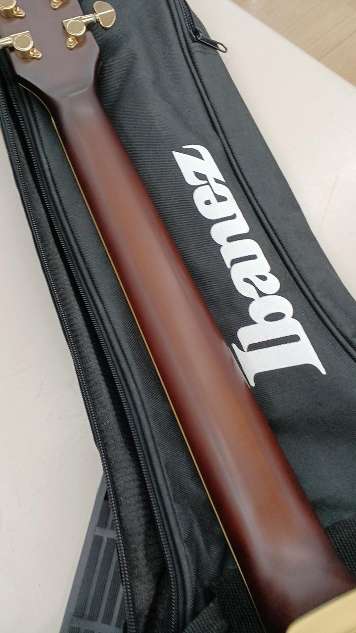 IBANEZ AS93-AR 5B-01 Semi-aco