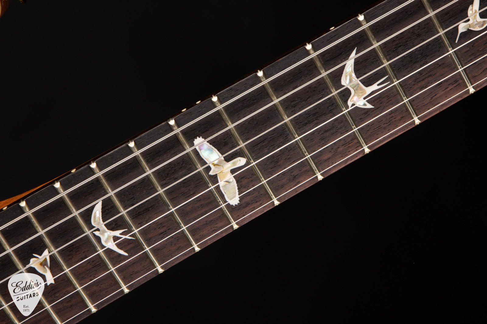 PRS Studio – Eriza Verde