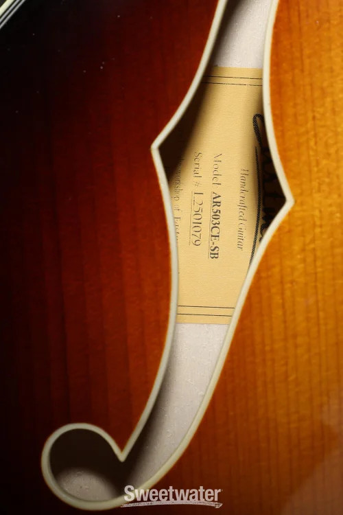Eastman Guitars AR503CE Archtop Hollowbody Electric Guitar – Sunburst