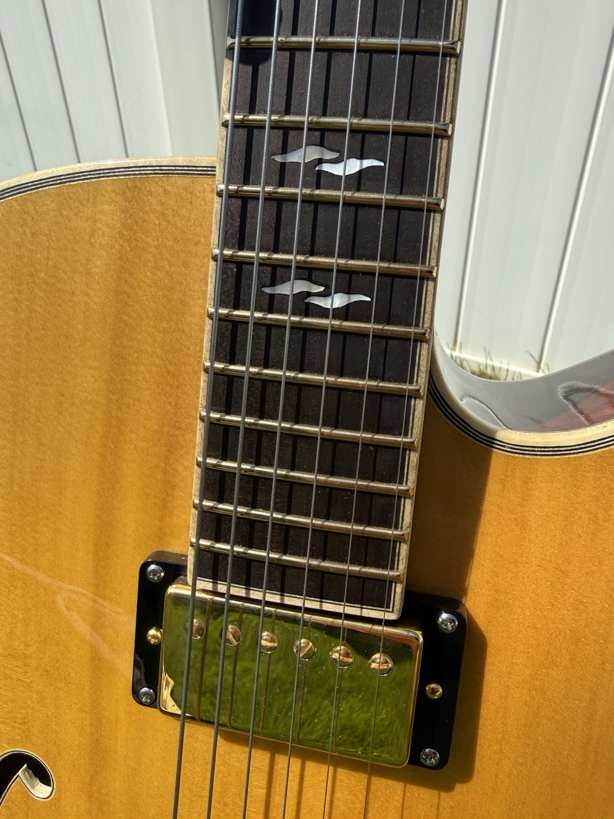 Yunzhi Jazz Box Archtop Guitar Solid Spruce Top 2024