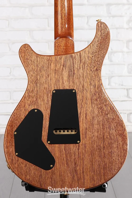 PRS DGT Electric Guitar with Bird Inlays – Tiger Eye, 10-Top