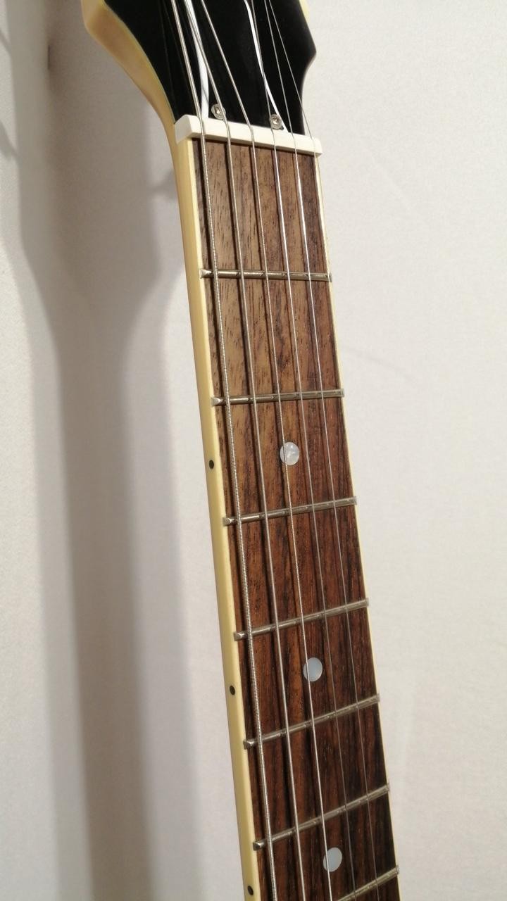 EPIPHONE 1960 LES PAUL SPECIAL DC Electric Guitar